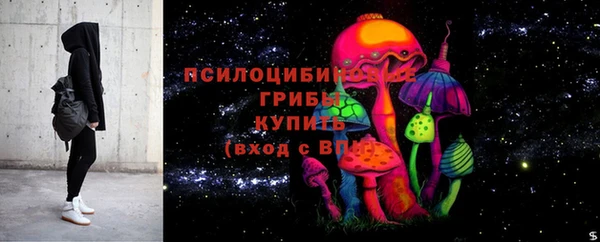 винт Бронницы